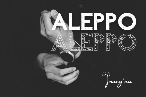 Polices élégantes Canva - Aleppo